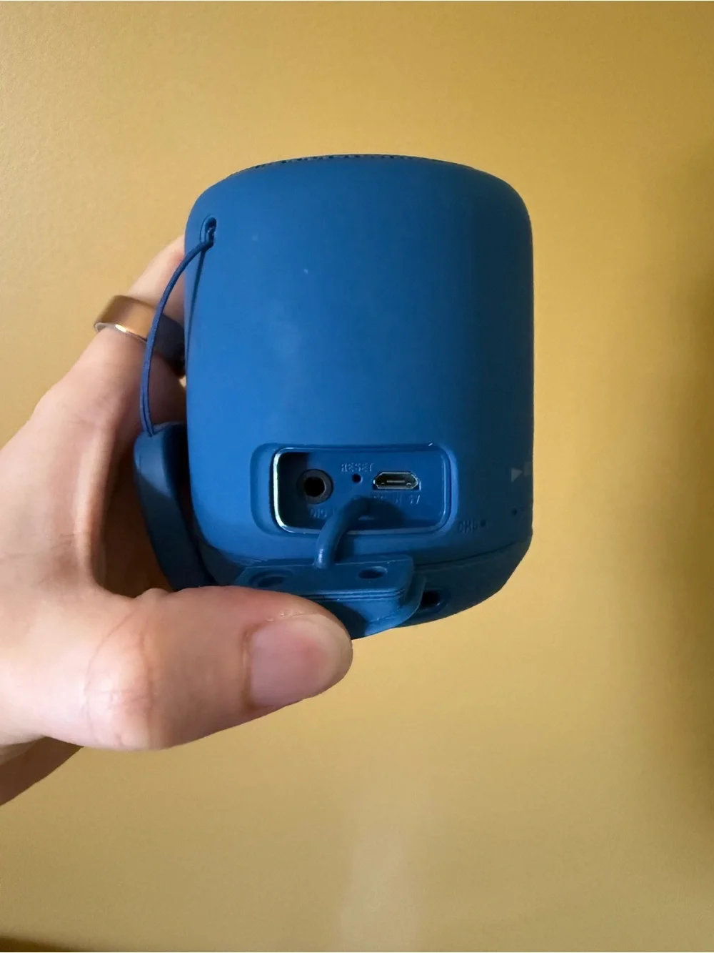 Sony Bluetooth Speaker
